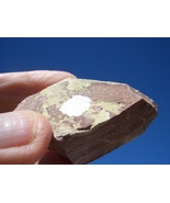 Tyuyamunite Uranium Rock  2.0 oz,   36,300. CPM Response  $23.00 +$9.50 ... - $23.00