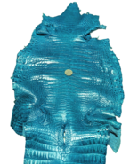 Genuine Crocodile Skin Hide Leather Belly Glazed Turquoise 120cm x 32.5cm - $242.55