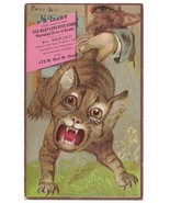 Circa 1890 P.H. Leahy Troy NY trade card cat having its tail pulled  - €17,15 EUR