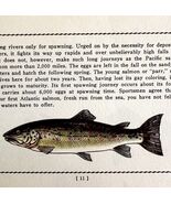 Atlantic Salmon 1939 Fresh Water Fish Art Gordon Ertz Color Plate Print ... - $42.03 CAD