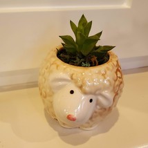 Sheep Planter Pot with Succulent, Star Cactus, Haworthia Retusa, Animal Planter image 2