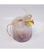 Vintage Country Apple-Bath&amp;Body Works 3x3&quot; Candle-Filled Pencils/Apples-... - $695.01 MXN