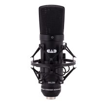 CAD Audio CAD GXL2200 Cardioid Condenser Microphone, Black Finish - $99.00