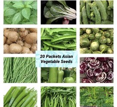 SD 20 Packetsasian Vegetable Seeds Desciptionfor Complete List A Fast Grow - $928.03 MXN