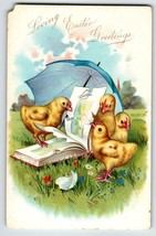 Easter Postcard Tuck Baby Chicks Under Umbrella Read Book Fantasy Germany - £6.95 GBP