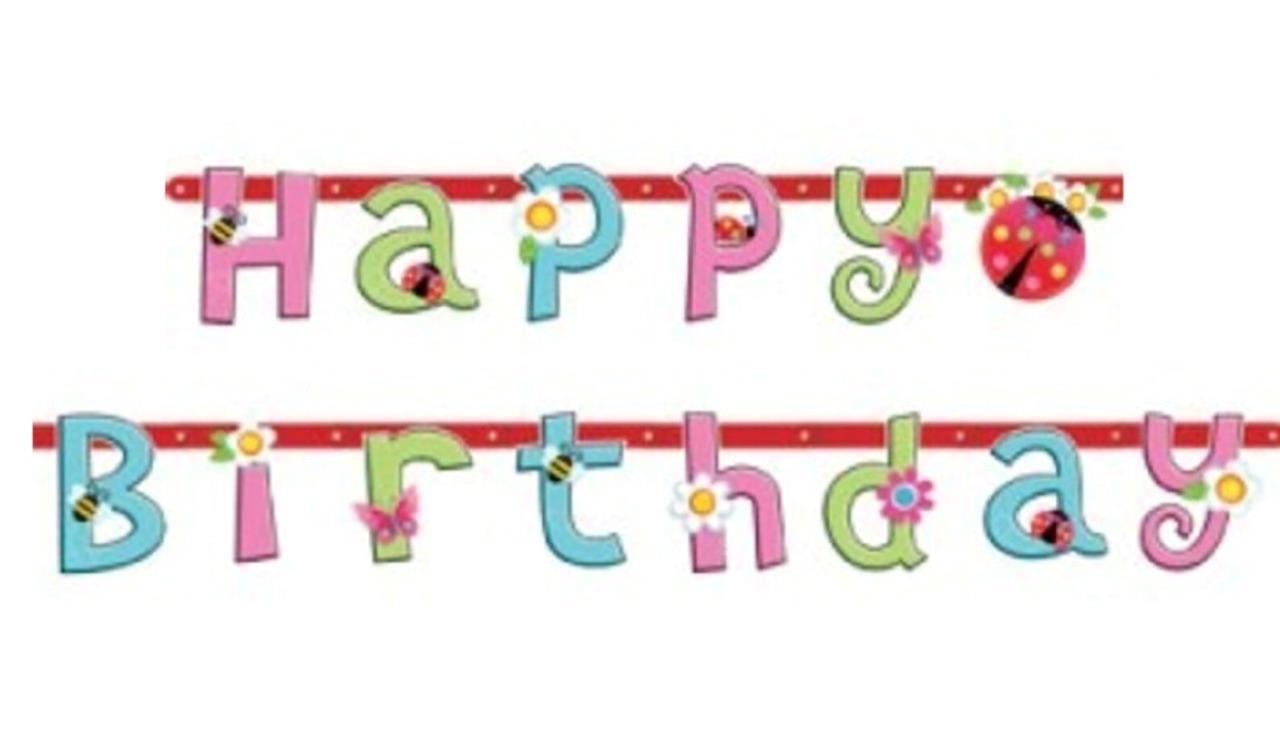 Garden Girl Happy Birthday Letter Banner Flowers Bees Lady Bug Decoratio... - $5.95