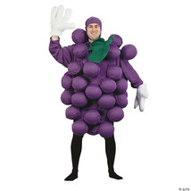 Grapes purple adult costume - $113.99
