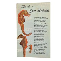 Postcard Life Of A Sea Horse Marine Animal Poem Chrome Unposted - $6.92