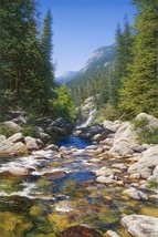 Abundant Waters by Larry Dyke Landscape Mountain Stream Canvas Giclee 30x20 - £315.69 GBP