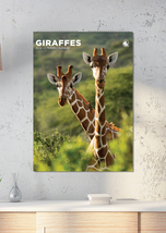 Giraffes Calendar 2026 - $19.99
