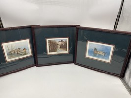 Set Of 3 Wildlife Print Ducks Jim Michielsen Signed Numbered Framed Wood Widgeon - £44.96 GBP