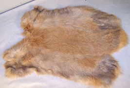 2 NATURAL BROWN GENUINE RABBIT SKIN new solf tan hide fur pelt craft ski... - £9.86 GBP