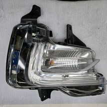 OEM 2018-2021 Buick Enclave RH Passenger Right Side LED Signal Light 843... - $77.39