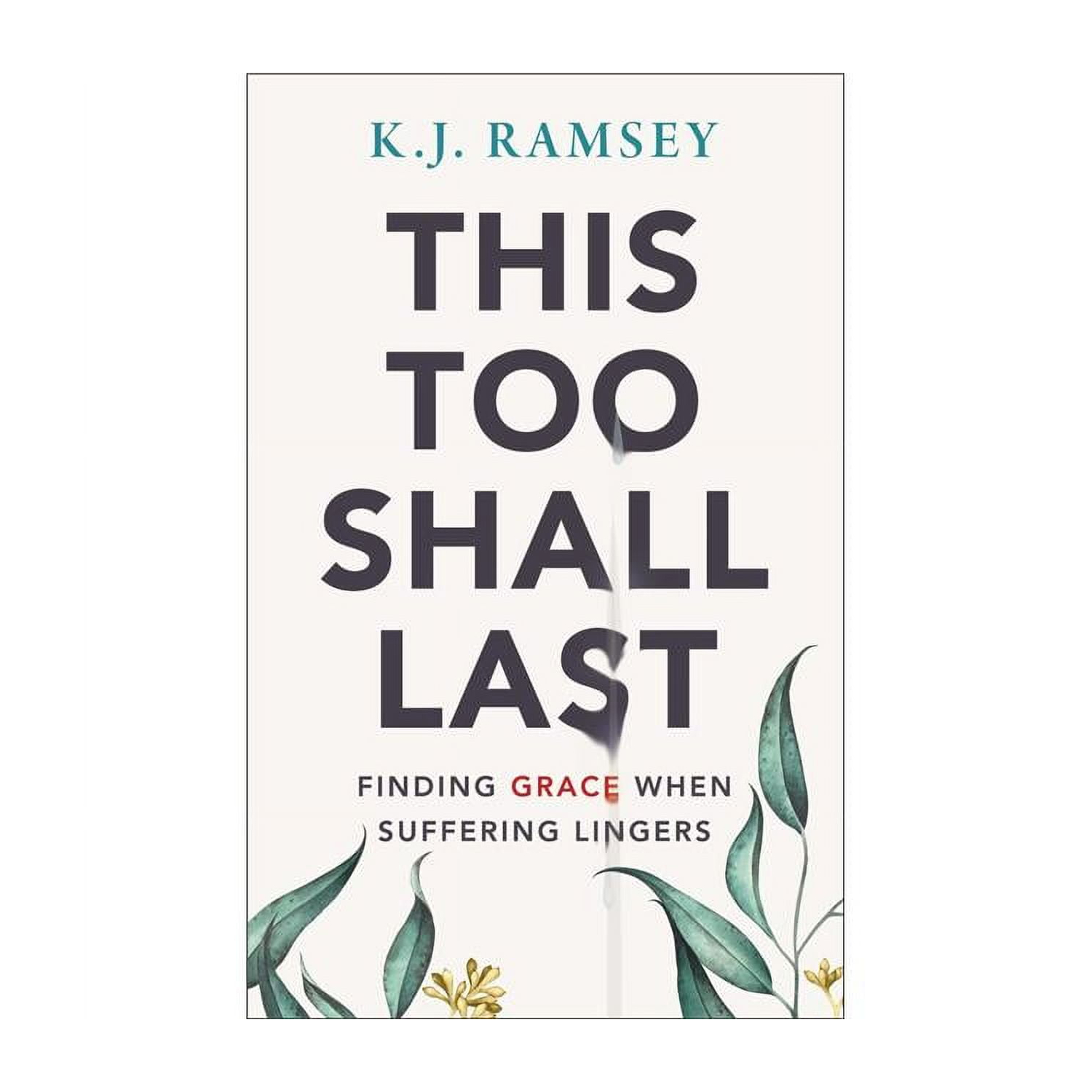 Zondervan This Too Shall Last - May 2020 - $36.64