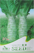 Chinese Green Asparagus Lettuce Seeds, Original , 30 Seeds / , Organic C... - £5.41 GBP