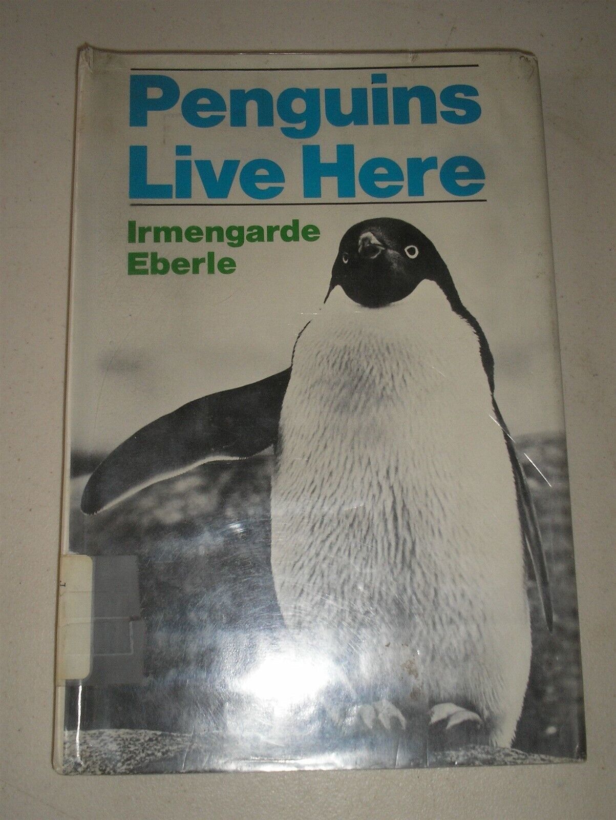 Penguins Live Here by Irmengarde Eberle (1975, Hardcover) - $4.51