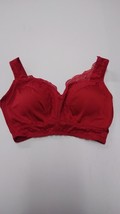 Rhonda Shear Lace Curve Envy Pin--Up Bra Removable Pads (Red, XL/18-20) - £9.47 GBP