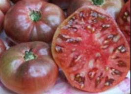 PURPLE CHEROKEE TOMATO Fruit Vegetable 100 Seeds - £8.78 GBP
