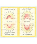 Vintage Lavoris Mouthwash Gargle Advertisement Brochure - $258.57 MXN