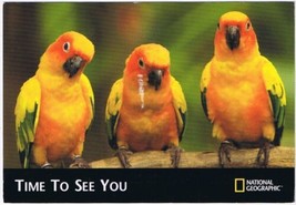 Postcard Animal Bird National Geographic Time To See You Reminder Georgetown ON - £3.14 GBP