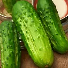 25 Boston Pickling Cucumber Seeds, NON-GMO, ORGANIC, HEIRLOOM  - $8.50