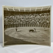 Vintage Real 8x10 Photo of a Bull Fighting Match with a Matador - £11.78 GBP