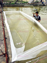 Pond Fish Box Isolation Polyethylene Breeding Net With 15cm Anti-Escape ... - £19.54 GBP+