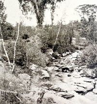 Somerset County Brook And Moss Maine 1924 Gravure Print New England DWT8B - $19.99