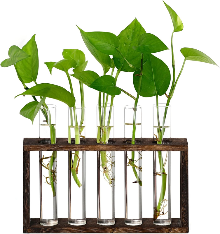 XXXFLOWER Plant Terrarium Wooden Stand with 5 Test Tubes,Glass Planters for Indo Item image 9