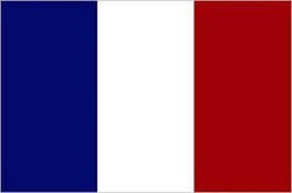 FRANCE COUNTRY 3 X 5 FLAG 3x5 decor ADVERTISING FL149 french red white b... - $6.60