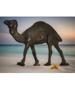 Vintage Beautiful Handmade Brass Show Piece Of Camel Used For Home Decor - $518.35 MXN