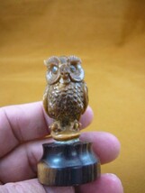 (tb-bird-1) little tan Horned Owl TAGUA NUT palm figurine Bali carving l... - £38.46 GBP