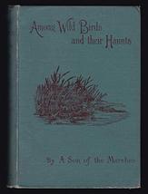 1894 Vtg Owen Within an Hour of London Among Wild Birds Their Haunts Orn... - $98.01