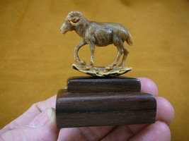 (TB-RAM-3) tan Mountain Ram sheep tagua nut figurine Bali detailed carvi... - $49.08