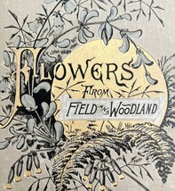 Flowers From Field And Woodland Book Cover Only Victorian 1888 Embossed DWU11C - £9.90 GBP