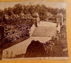 Il Terrace Centrale Park New York Ny Nyc Americana Views Stereoscopia Foto - £12.23 GBP