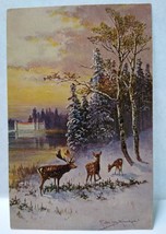 Deer Forest Trees Lake Scenic View Postcard Signed Muller Germany Serie 278 HK&amp;M - $16.63