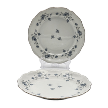 Johann Haviland Blue Garland Salad Plates Floral Set Of 2 Bavaria German... - $230.37 MXN