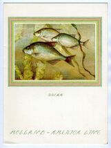 3 Holland American Lines RMS Nieuw Amsterdam 1st Class Menus Fish Covers... - $25.71