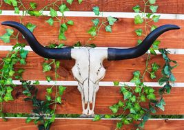 Large 27"W Longhorn Cow Skull Wall Hanging Sculpture Plaque Wild Bull St... - €63,89 EUR