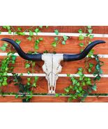 Large 27"W Longhorn Cow Skull Wall Hanging Sculpture Plaque Wild Bull St... - $1,351.91 MXN