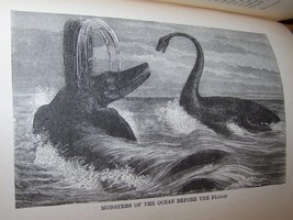 1886 Diving Whaling Fishing Oc EAN Sea Life Oc EAN Ography Sailing Yacht Book + Map - £59.66 GBP