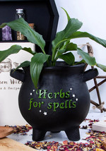 Green Thumb Witch Gardening Black Herbs For Spells Cauldron Planter Pot ... - £22.37 GBP