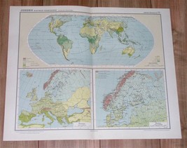 1926 Vintage Swedish World Map Vegetation Europe Scandinavia Sweden - $24.11