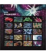 2023 66c Life Magnified, Brain Neurons, Imperf Sheet of 20 Scott 5802 Mi... - $34.99