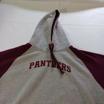 Panthers Men's Gray & Red Long Sleeve Drawstring Hoodie Pullover Sweatshirt XL image 8