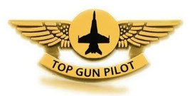 Top Gun Maverick Ages 0-3 Pilot Costume Aviator Sunglasses And Wings Pin - £11.93 GBP