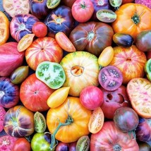 Tomato Seed Mix Organic US Fast Shipping - $57.17 MXN