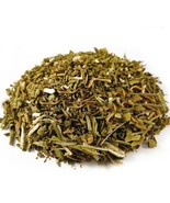 Common Rue, Garden Rue stalk - for anxiety and insomnia, Ruta graveolens - £5.69 GBP+