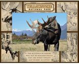 Yellowstone National Park Quad Laser Engraved Wood Picture Frame Landsca... - $30.99